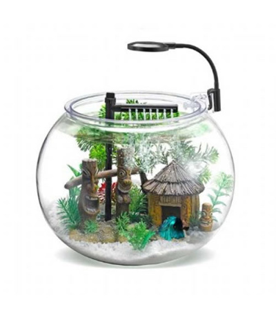 Nubios Masaüstü Fanus Beta Akvaryum Seti 12 Lt