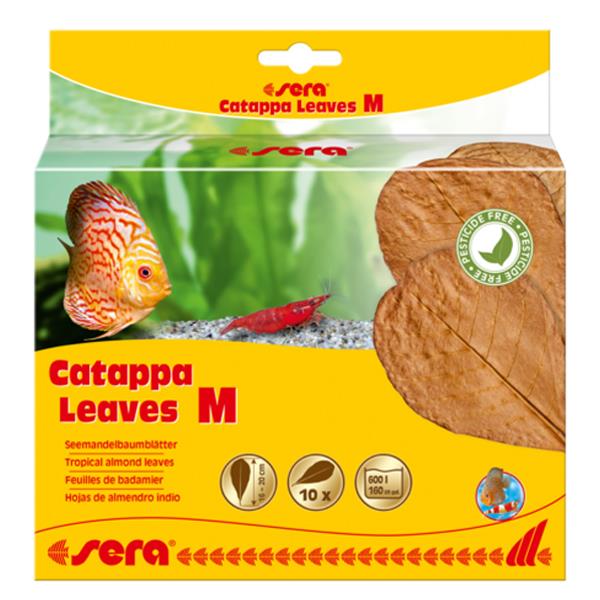 CS2 Sera Catappa Yaprağı M 18 Cm 10lu Paket - Görsel 1